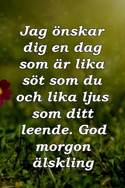 Jag önskar dig en dag som är lika söt som du och lika ljus som ditt leende. God morgon älskling