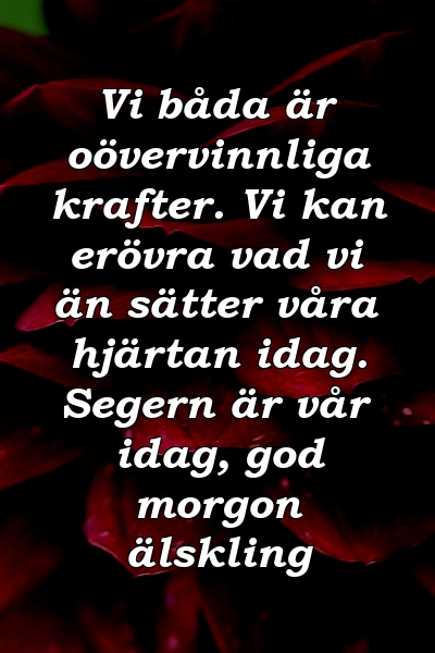 Vi båda är oövervinnliga krafter. Vi kan erövra vad vi än sätter våra hjärtan idag. Segern är vår idag, god morgon älskling