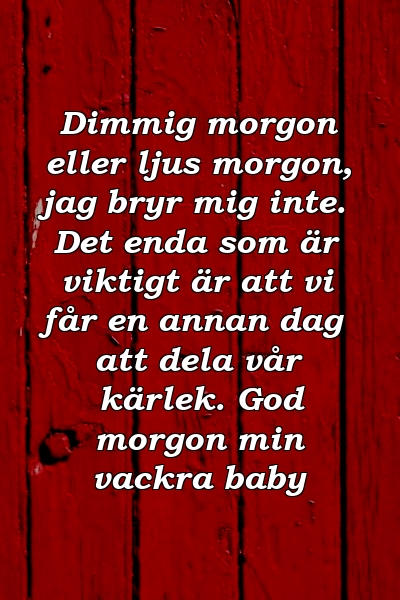 Dimmig morgon eller ljus morgon, jag bryr mig inte. Det enda som är viktigt är att vi får en annan dag att dela vår kärlek. God morgon min vackra baby