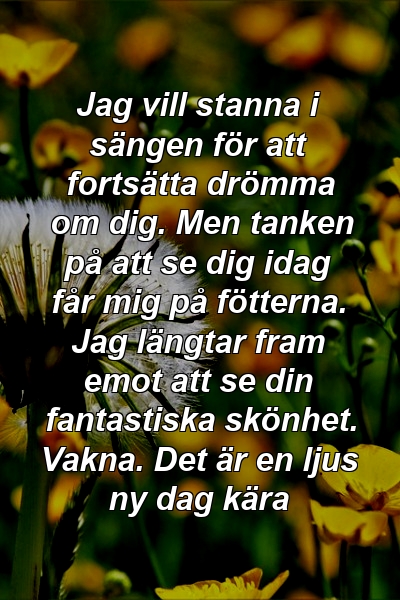 Jag vill stanna i sängen för att fortsätta drömma om dig. Men tanken på att se dig idag får mig på fötterna. Jag längtar fram emot att se din fantastiska skönhet. Vakna. Det är en ljus ny dag kära