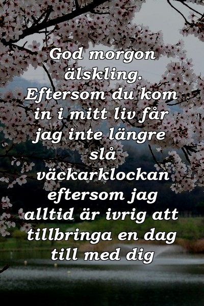 God morgon älskling. Eftersom du kom in i mitt liv får jag inte längre slå väckarklockan eftersom jag alltid är ivrig att tillbringa en dag till med dig