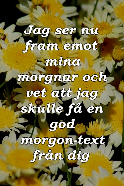 Jag ser nu fram emot mina morgnar och vet att jag skulle få en god morgon-text från dig