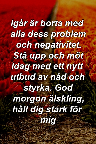 Igår är borta med alla dess problem och negativitet. Stå upp och möt idag med ett nytt utbud av nåd och styrka. God morgon älskling, håll dig stark för mig