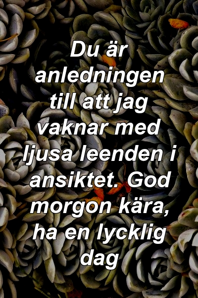 Du är anledningen till att jag vaknar med ljusa leenden i ansiktet. God morgon kära, ha en lycklig dag