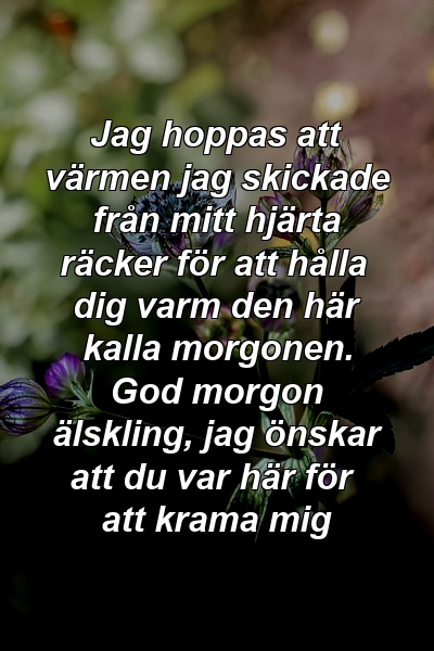 Jag hoppas att värmen jag skickade från mitt hjärta räcker för att hålla dig varm den här kalla morgonen. God morgon älskling, jag önskar att du var här för att krama mig