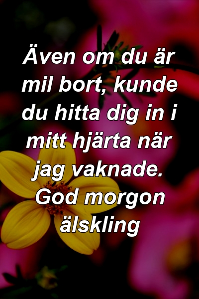 Även om du är mil bort, kunde du hitta dig in i mitt hjärta när jag vaknade. God morgon älskling