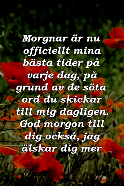 Morgnar är nu officiellt mina bästa tider på varje dag, på grund av de söta ord du skickar till mig dagligen. God morgon till dig också, jag älskar dig mer