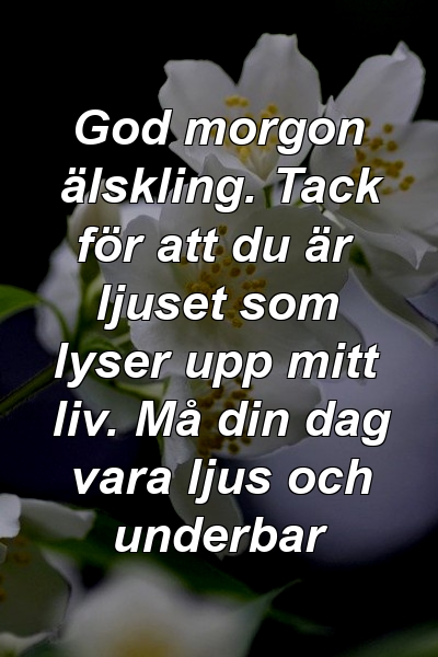 God morgon älskling. Tack för att du är ljuset som lyser upp mitt liv. Må din dag vara ljus och underbar