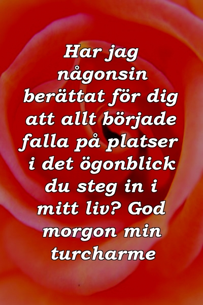 Har jag någonsin berättat för dig att allt började falla på platser i det ögonblick du steg in i mitt liv? God morgon min turcharme