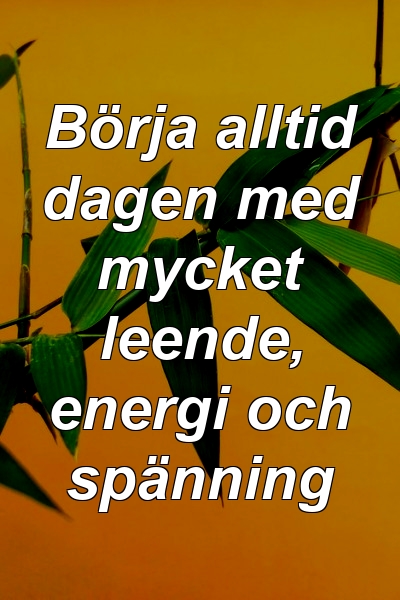 Börja alltid dagen med mycket leende, energi och spänning