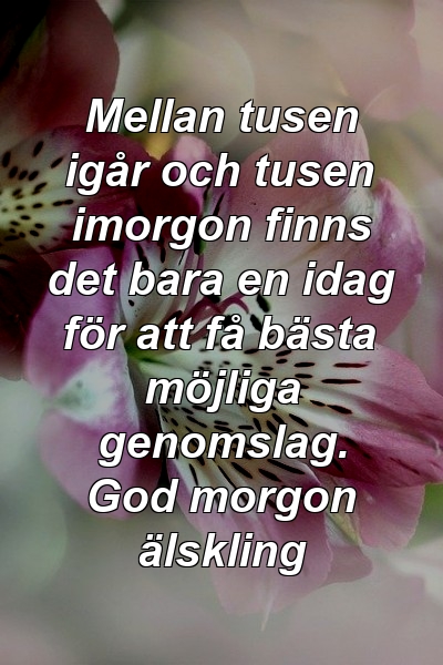 Mellan tusen igår och tusen imorgon finns det bara en idag för att få bästa möjliga genomslag. God morgon älskling