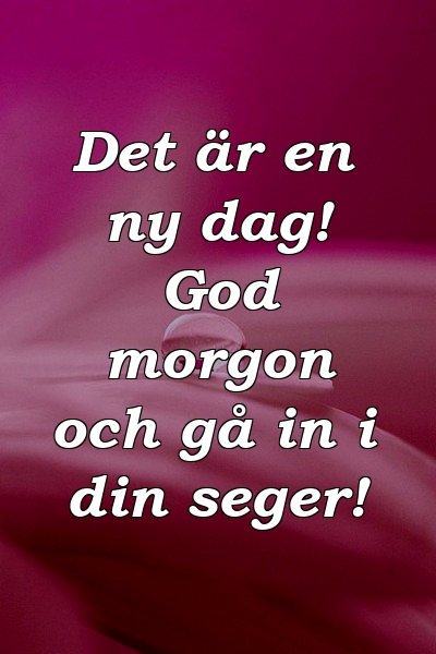 Det är en ny dag! God morgon och gå in i din seger!