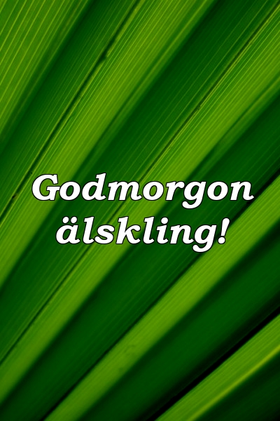 Godmorgon älskling!