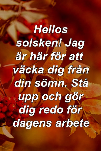 Hellos solsken! Jag är här för att väcka dig från din sömn. Stå upp och gör dig redo för dagens arbete