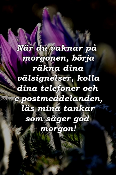 När du vaknar på morgonen, börja räkna dina välsignelser, kolla dina telefoner och e-postmeddelanden, läs mina tankar som säger god morgon!