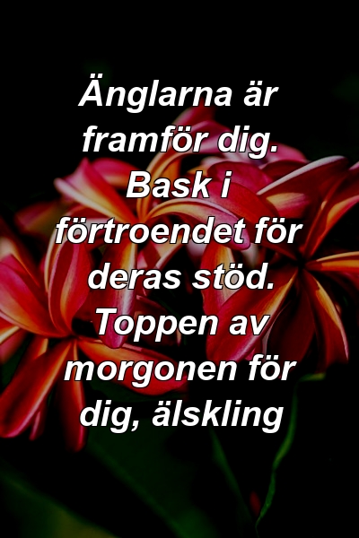 Änglarna är framför dig. Bask i förtroendet för deras stöd. Toppen av morgonen för dig, älskling