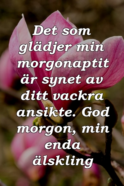 Det som glädjer min morgonaptit är synet av ditt vackra ansikte. God morgon, min enda älskling