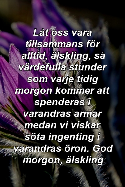 Låt oss vara tillsammans för alltid, älskling, så värdefulla stunder som varje tidig morgon kommer att spenderas i varandras armar medan vi viskar söta ingenting i varandras öron. God morgon, älskling