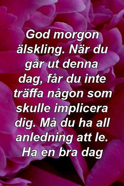 God morgon älskling. När du går ut denna dag, får du inte träffa någon som skulle implicera dig. Må du ha all anledning att le. Ha en bra dag