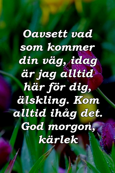 Oavsett vad som kommer din väg, idag är jag alltid här för dig, älskling. Kom alltid ihåg det. God morgon, kärlek