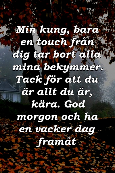 Min kung, bara en touch från dig tar bort alla mina bekymmer. Tack för att du är allt du är, kära. God morgon och ha en vacker dag framåt