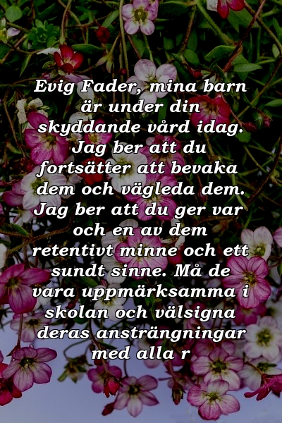 Evig Fader, mina barn är under din skyddande vård idag. Jag ber att du fortsätter att bevaka dem och vägleda dem. Jag ber att du ger var och en av dem retentivt minne och ett sundt sinne. Må de vara uppmärksamma i skolan och välsigna deras ansträngningar med alla r