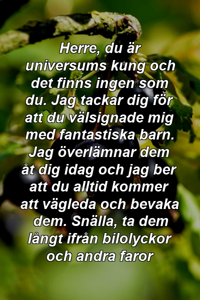 Herre, du är universums kung och det finns ingen som du. Jag tackar dig för att du välsignade mig med fantastiska barn. Jag överlämnar dem åt dig idag och jag ber att du alltid kommer att vägleda och bevaka dem. Snälla, ta dem långt ifrån bilolyckor och andra faror