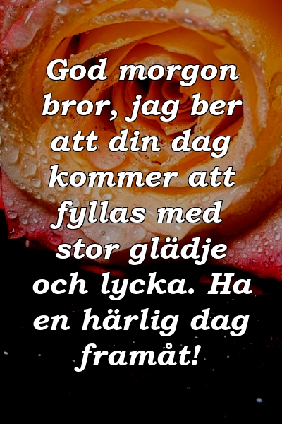 God morgon bror, jag ber att din dag kommer att fyllas med stor glädje och lycka. Ha en härlig dag framåt!