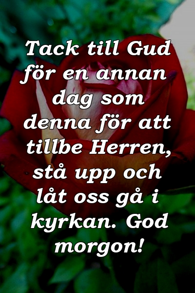 Tack till Gud för en annan dag som denna för att tillbe Herren, stå upp och låt oss gå i kyrkan. God morgon!