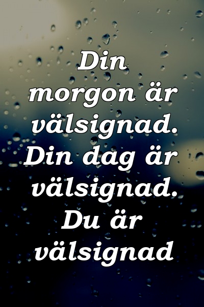 Din morgon är välsignad. Din dag är välsignad. Du är välsignad