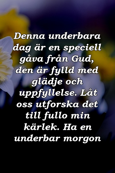 Denna underbara dag är en speciell gåva från Gud, den är fylld med glädje och uppfyllelse. Låt oss utforska det till fullo min kärlek. Ha en underbar morgon