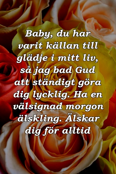 Baby, du har varit källan till glädje i mitt liv, så jag bad Gud att ständigt göra dig lycklig. Ha en välsignad morgon älskling. Älskar dig för alltid