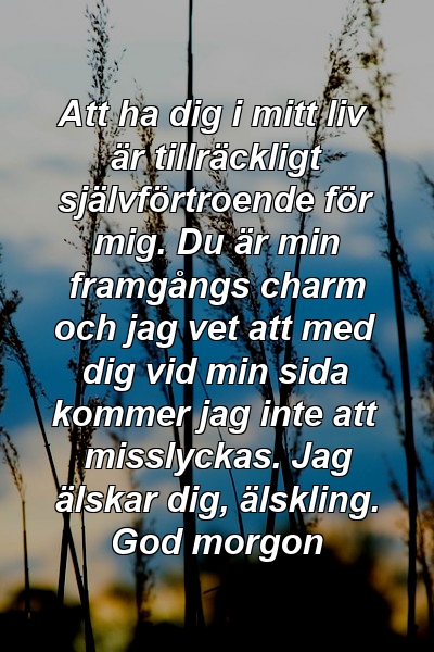 Att ha dig i mitt liv är tillräckligt självförtroende för mig. Du är min framgångs charm och jag vet att med dig vid min sida kommer jag inte att misslyckas. Jag älskar dig, älskling. God morgon