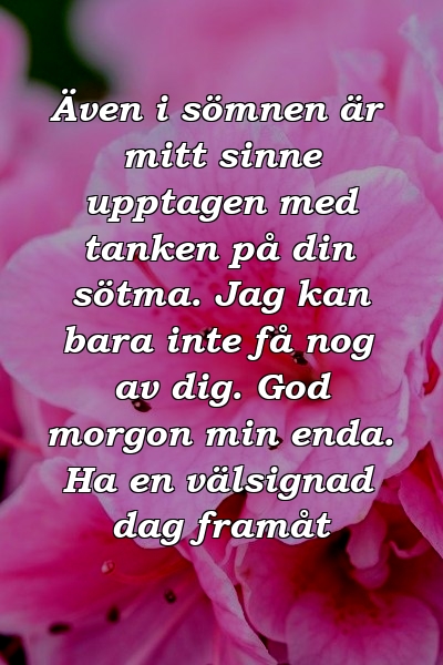 Även i sömnen är mitt sinne upptagen med tanken på din sötma. Jag kan bara inte få nog av dig. God morgon min enda. Ha en välsignad dag framåt