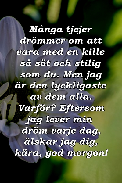 Många tjejer drömmer om att vara med en kille så söt och stilig som du. Men jag är den lyckligaste av dem alla. Varför? Eftersom jag lever min dröm varje dag, älskar jag dig, kära, god morgon!