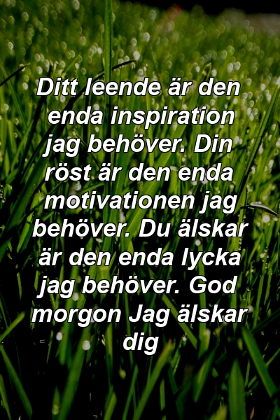 Ditt leende är den enda inspiration jag behöver. Din röst är den enda motivationen jag behöver. Du älskar är den enda lycka jag behöver. God morgon Jag älskar dig