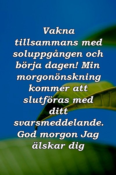 Vakna tillsammans med soluppgången och börja dagen! Min morgonönskning kommer att slutföras med ditt svarsmeddelande. God morgon Jag älskar dig