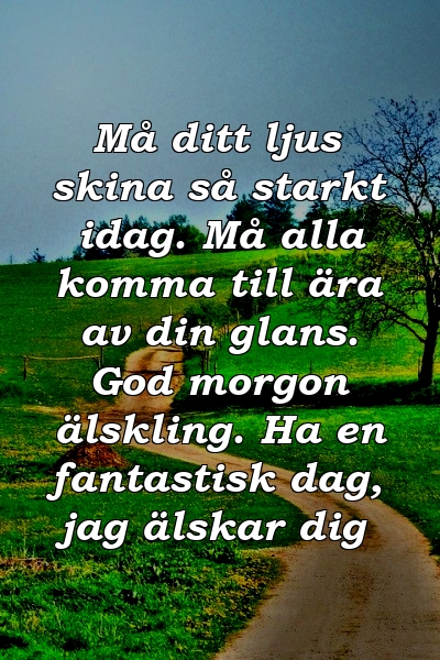 Må ditt ljus skina så starkt idag. Må alla komma till ära av din glans. God morgon älskling. Ha en fantastisk dag, jag älskar dig