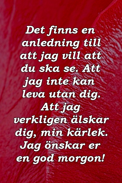 Det finns en anledning till att jag vill att du ska se. Att jag inte kan leva utan dig. Att jag verkligen älskar dig, min kärlek. Jag önskar er en god morgon!