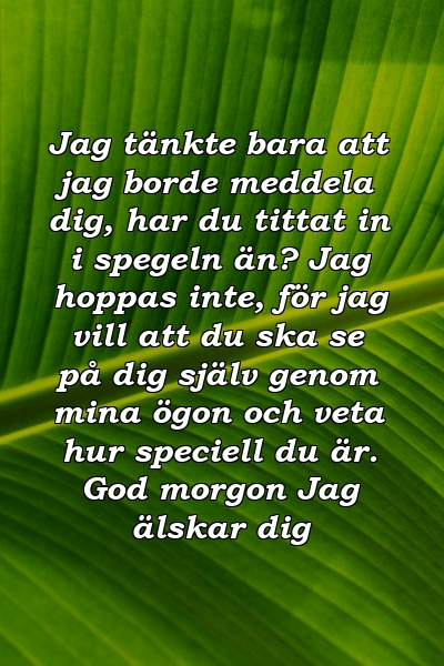 Jag tänkte bara att jag borde meddela dig, har du tittat in i spegeln än? Jag hoppas inte, för jag vill att du ska se på dig själv genom mina ögon och veta hur speciell du är. God morgon Jag älskar dig