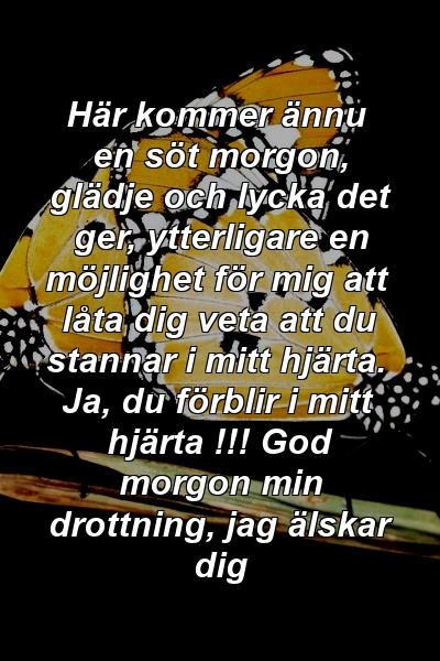 Här kommer ännu en söt morgon, glädje och lycka det ger, ytterligare en möjlighet för mig att låta dig veta att du stannar i mitt hjärta. Ja, du förblir i mitt hjärta !!! God morgon min drottning, jag älskar dig