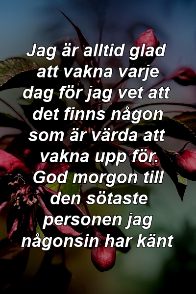 Jag är alltid glad att vakna varje dag för jag vet att det finns någon som är värda att vakna upp för. God morgon till den sötaste personen jag någonsin har känt