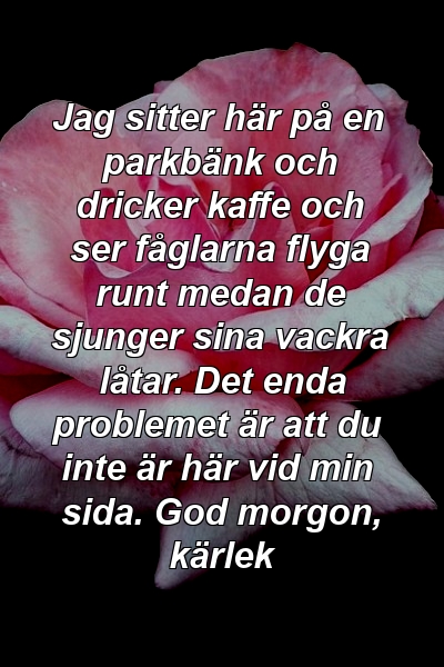 Jag sitter här på en parkbänk och dricker kaffe och ser fåglarna flyga runt medan de sjunger sina vackra låtar. Det enda problemet är att du inte är här vid min sida. God morgon, kärlek