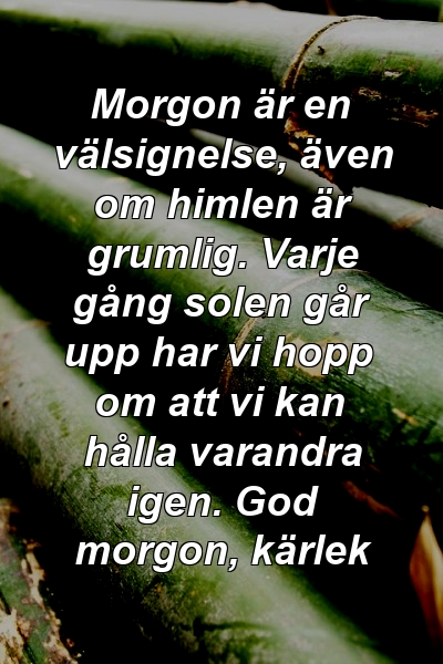 Morgon är en välsignelse, även om himlen är grumlig. Varje gång solen går upp har vi hopp om att vi kan hålla varandra igen. God morgon, kärlek