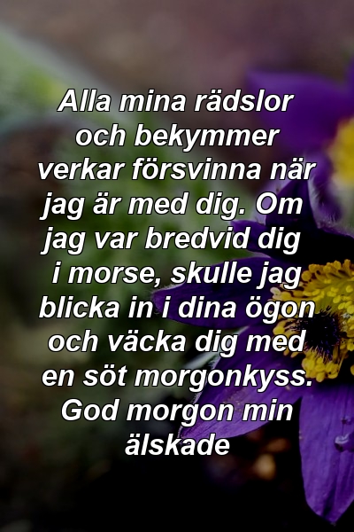 Alla mina rädslor och bekymmer verkar försvinna när jag är med dig. Om jag var bredvid dig i morse, skulle jag blicka in i dina ögon och väcka dig med en söt morgonkyss. God morgon min älskade