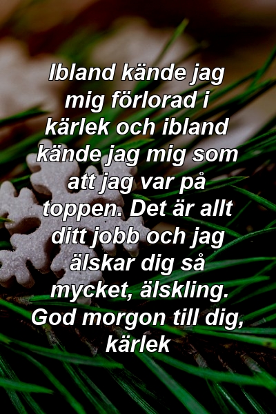 Ibland kände jag mig förlorad i kärlek och ibland kände jag mig som att jag var på toppen. Det är allt ditt jobb och jag älskar dig så mycket, älskling. God morgon till dig, kärlek