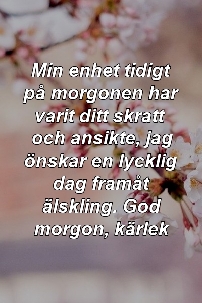 Min enhet tidigt på morgonen har varit ditt skratt och ansikte, jag önskar en lycklig dag framåt älskling. God morgon, kärlek