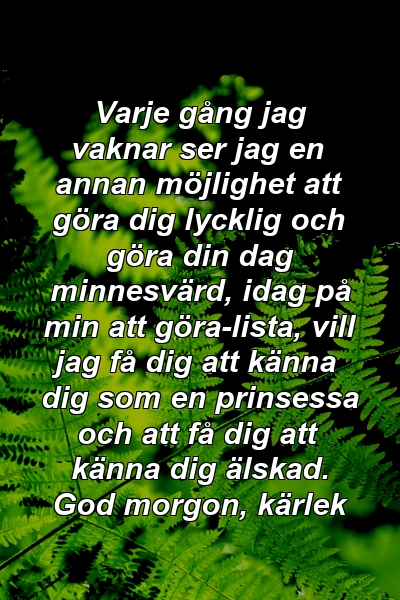 Varje gång jag vaknar ser jag en annan möjlighet att göra dig lycklig och göra din dag minnesvärd, idag på min att göra-lista, vill jag få dig att känna dig som en prinsessa och att få dig att känna dig älskad. God morgon, kärlek