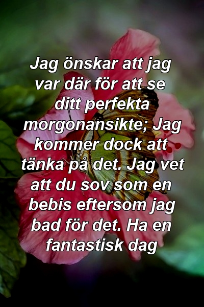 Jag önskar att jag var där för att se ditt perfekta morgonansikte; Jag kommer dock att tänka på det. Jag vet att du sov som en bebis eftersom jag bad för det. Ha en fantastisk dag