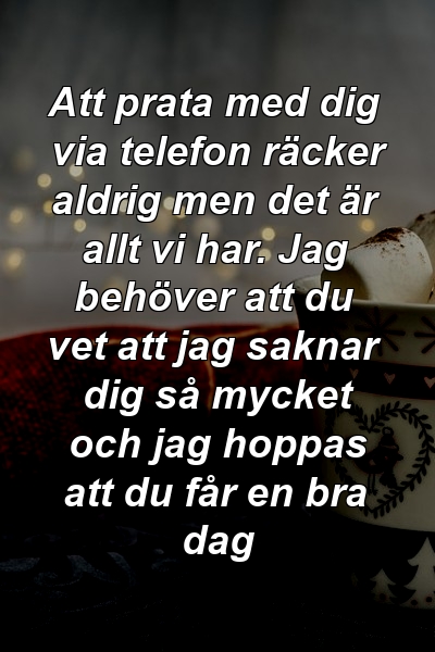 Att prata med dig via telefon räcker aldrig men det är allt vi har. Jag behöver att du vet att jag saknar dig så mycket och jag hoppas att du får en bra dag